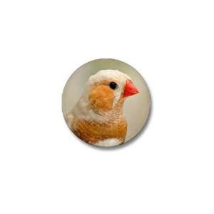  Zebra Finch Orange Breast CFW Mini Button by CafePress 