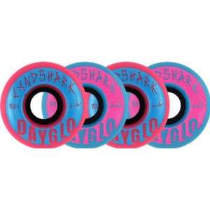  Landshark Dayglo Combo 53mm Blue Pink Skate Wheels: Sports 