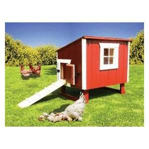  Small Chicken Coop   The Little Red Hen House: Pet 