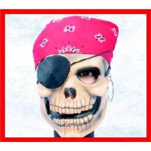    Alexanders Costumes 64 0729 Pirate Skull Mask: Toys & Games