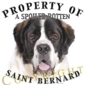  Saint Bernard dog breed THROW PILLOW 16 x 16: Home 