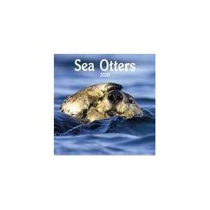 Sea Otters 2010 Wall Calendar 12 X 12 Office Products