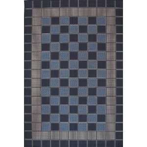  Plaza Collection 9880 B26B Rug 5x8 Size: Home & Kitchen