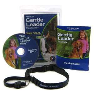   Quick Release Head Collar Large Black 60   130 lbs: Everything Else