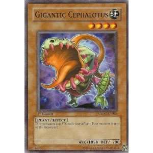  Yugioh CSOC EN025 Gigantic Cephalotus Common Toys & Games