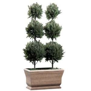 Double Column Italian Cypress Triple Ball Topiary:  Home 
