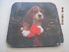 Basset Hound Pup in Tree Drink Coaster Rubber 4 x 4  