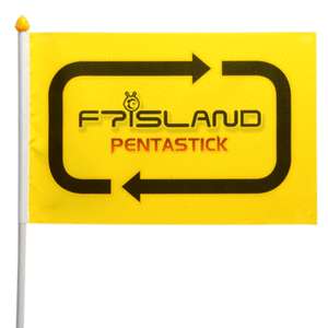 FT ISLAND   Big Flag (38 x 25cm) + Free Gift  KPOP Idol Socks  