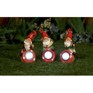    Gnome On Solar Rock Light  one [Kitchen & Home]