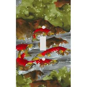  Salmon River Decorative Switchplate Cover: Home 