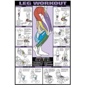  Leg Workout Fitness Chart (Co Ed)