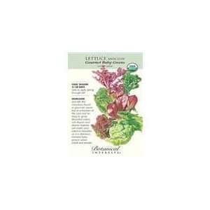  Botanical Interest   Lettuce Mesclun Grmt Baby (Organic 