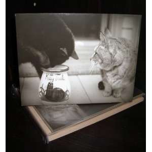  Talk to the Paw Greeting Cards   Just wondering 