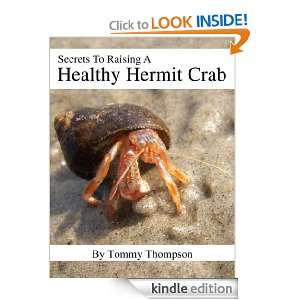 Secrets to Raising a Healthy Hermit Crab Tommy Thompson  