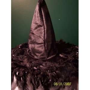  18 Black Feather Black Velvet Deluxe Witchs Hat: Toys 