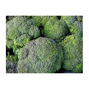  Waltham 29 Broccoli Seed   2g Seed Packet Patio, Lawn 
