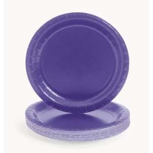  Purple Paper Plates   Tableware & Party Plates: Health 