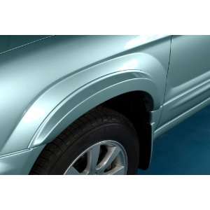   Flare Kit to Match Body Color 59E Seacrest Green Metallic Automotive