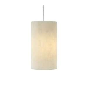   Bronze Shade Color: Opal, Mounting Type: Monopoint: Home Improvement