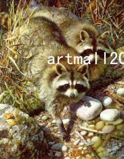 Sale great wilf life oil painting:Racoon dogs  