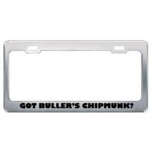 Got BullerS Chipmunk? Animals Pets Metal License Plate Frame Holder 