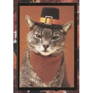 Greeting Card Thanksgiving Humor Wishing you a wonderful Thanksgiving 