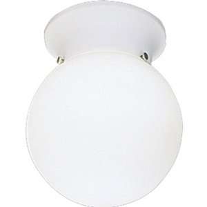   Acrylic Globes Functional Flushmount Ceiling Fixture from the Acryl