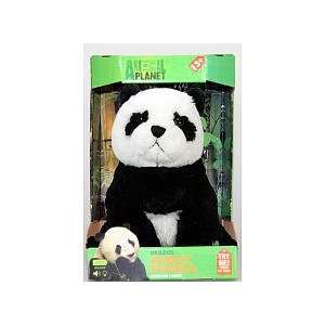  Animal Planet Wild Eyes Panda Bear: Toys & Games