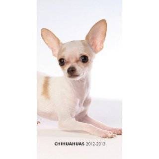 Chihuahuas 2012 Two Year Pocket Planner by BrownTrout Publishers Inc 