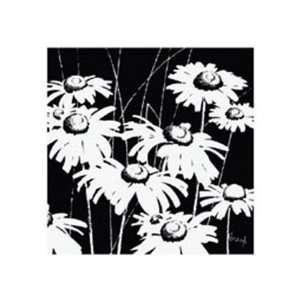  Black and White Daisy by Franz Heigl 12x12: Everything 