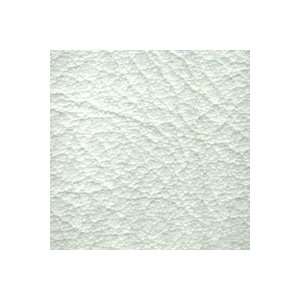   White 54 Wide Marine Vinyl Fabric By The Yard: Everything Else