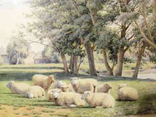 Original William Sidney Cooper 1913 Watercolor Sheep In A Meadow 