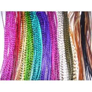  8 11 Multi Color W/natural Colors Feathers Hair 