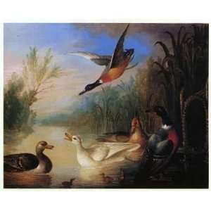  Waterfowl In Landscape Poster Print