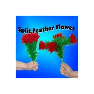   Feather Flower Illusion Close up Magic Trick Set: Everything Else
