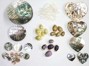 ABALONE / PAUA SHELL DISCS AND HEARTS   COWRY SHELLS DRILLED 