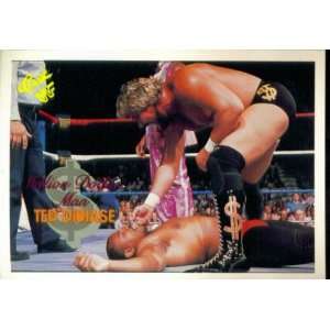   Card #109 : The Million Dollar Man Ted DiBiase: Sports & Outdoors