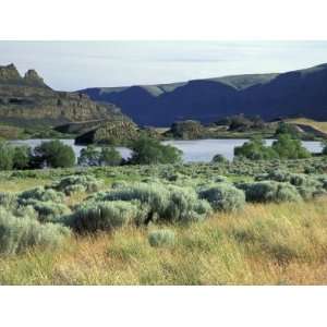  Alkali Lake in the Lower Grand Coulee, Coulee City, Washington 