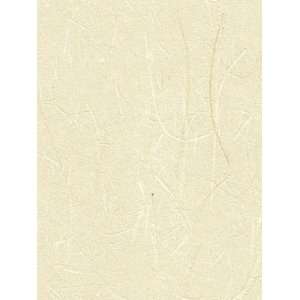   PJ 876 Japanese Rice Paper   Linen White Wallpaper