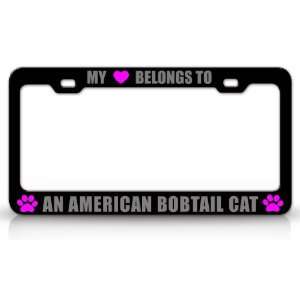MY HEART BELONGS TO AN AMERICAN BOBTAIL Cat Pet Auto License Plate 