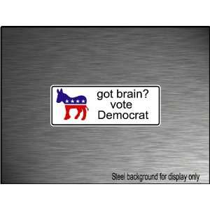  Got Brain Vote Democrat Decal 2x5 Bumper Sticker 