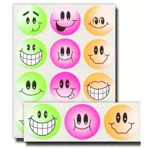  Pioneer Plus Stickers, Assorted Smiley Face, Classic Acid 