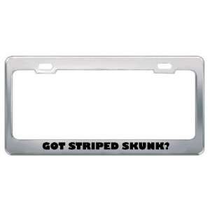  Got Striped Skunk? Animals Pets Metal License Plate Frame 