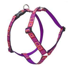 Lupine Big Dog Collars, Leashes & Harnesses: Lupine 1 Adjustable 