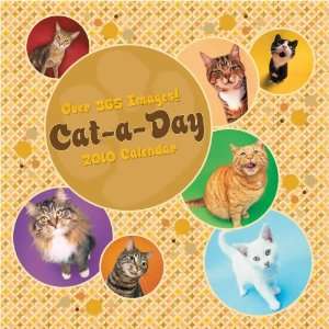  Cat A Day 2010 Wall Calendar: Sports & Outdoors