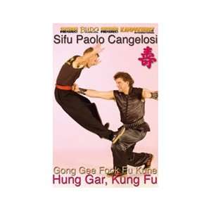  Hung Gar Kung Fu DVD with Paolo Cangelosi Sports 