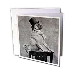  Vintage Stereoview   Pug in Top Hat Black and White   Greeting Cards 