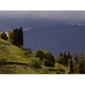 Hillside with Mountains and Dramatic Sky in Background, Asolo, Italy 