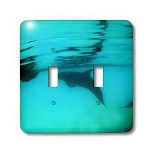  Kike Calvo Whales n Dolphins   Bottlenose dolphin   Light 