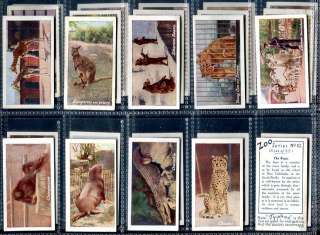 Trade Card Set, Typhoo Tea, ZOO SERIES, Coloured Animal Pictures, 1932 